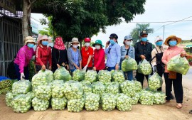 RAU QUẢ NGHĨA TÌNH TỪ TÂY NGUYÊN GỬI ĐỒNG BÀO VÙNG DỊCH COVID 19