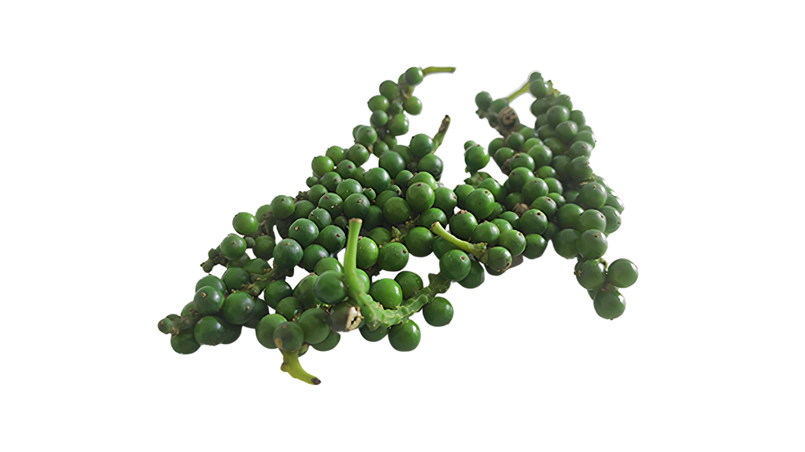 Tiêu xanh sấy dẻo Eabar