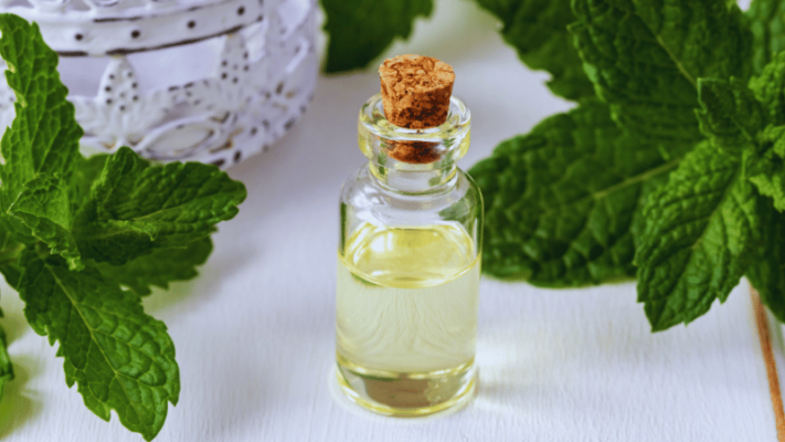 tinh dầu bạc hà có tác dụng gì
