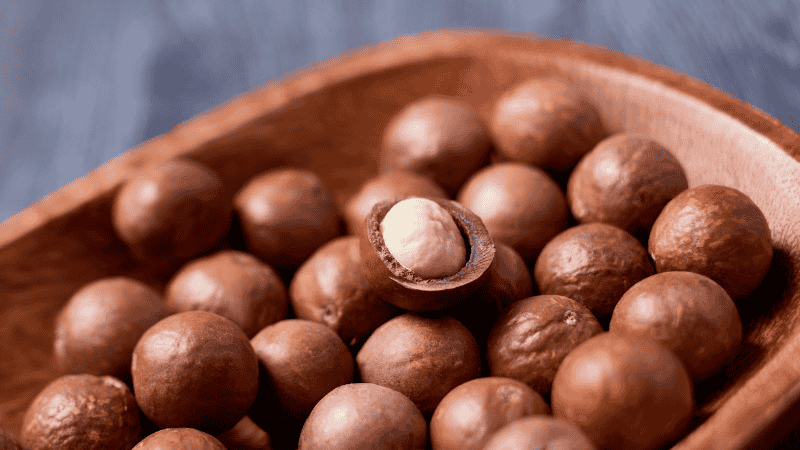 Quả macca có tác dụng gì