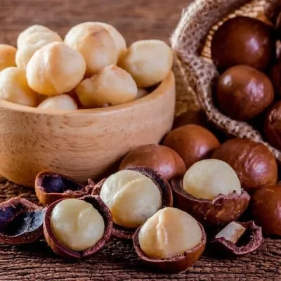 Quả macca có tác dụng gì