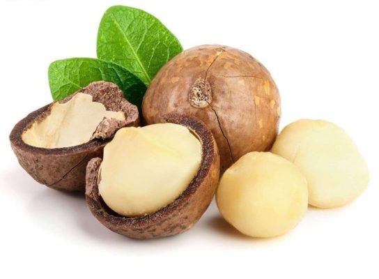 Quả macca có tác dụng gì
