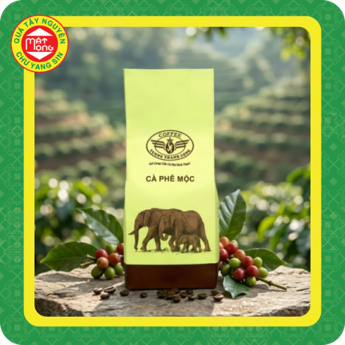 Cà phê mộc Vương Thành Công túi vàng 500g