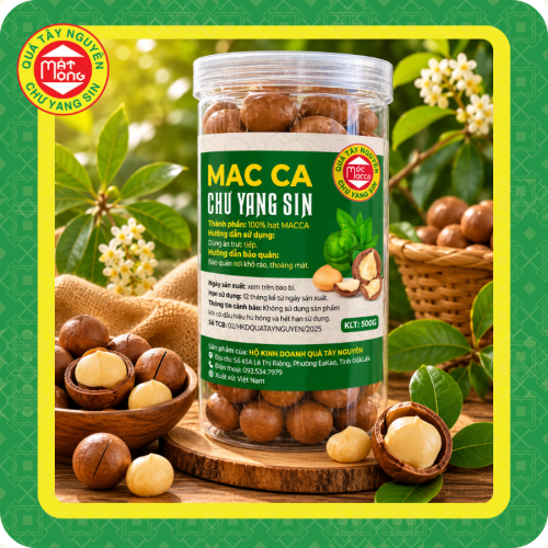 hạt macca tách nứt vỏ