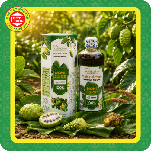 Cốt Nhàu Lên Men 500ml