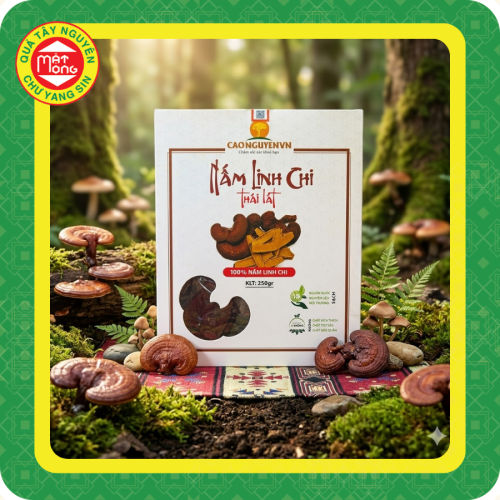 Nấm Linh Chi Cao Nguyên Thái Lát