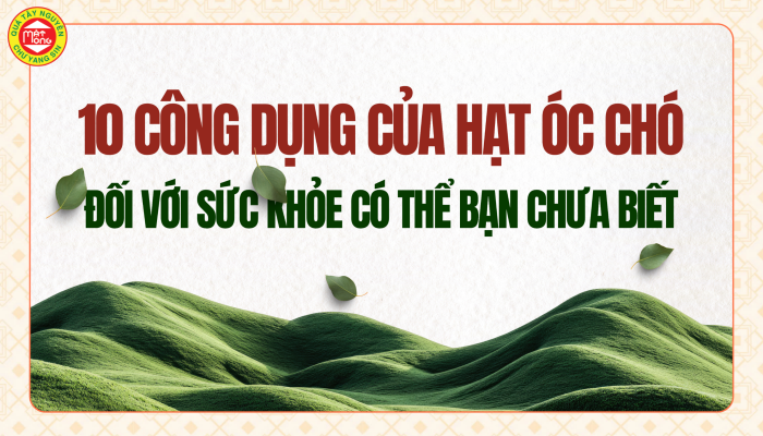 quà tây nguyên