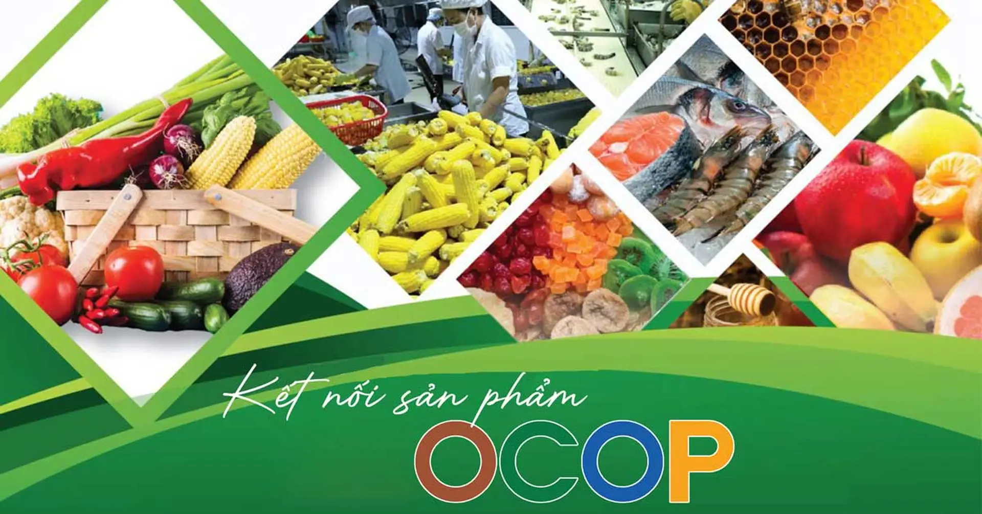 Sản Phẩm OCOP Là Gì? Ý Nghĩa Của OCOP 3 Sao, 4 Sao Và 5 Sao